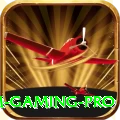 wasim Gaming Pro